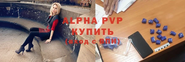 крисы Корсаков