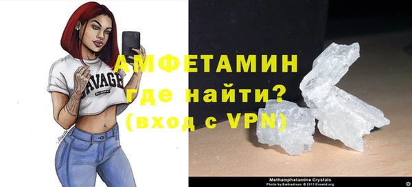 крисы Корсаков