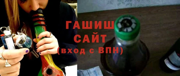 крисы Корсаков