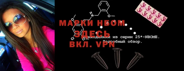 крисы Корсаков