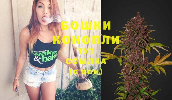 крисы Корсаков