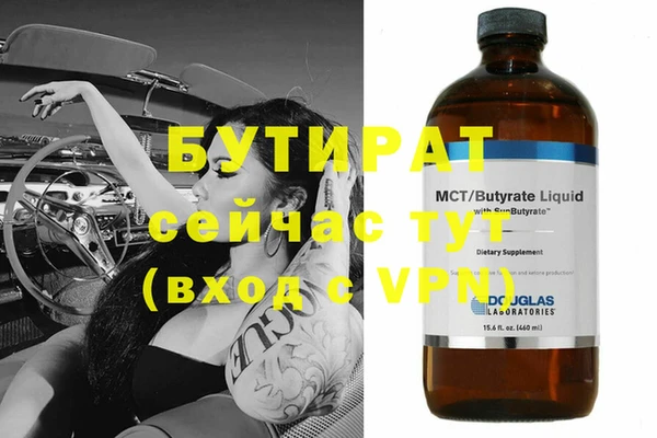крисы Корсаков