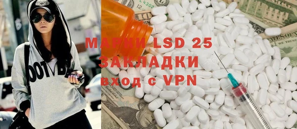 крисы Корсаков