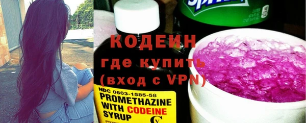 крисы Корсаков
