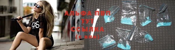 крисы Корсаков