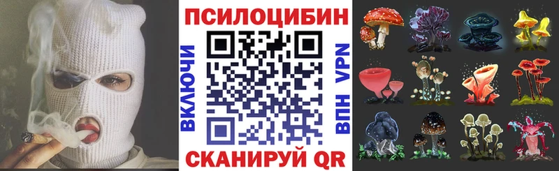 Купить где  Лаишево  Псилоцибиновые грибы мухоморы 