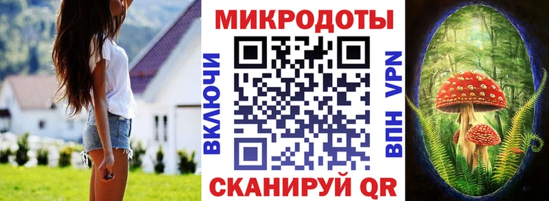 Псилоцибиновые грибы Psilocybe Лаишево